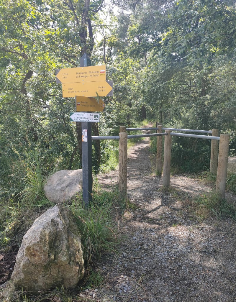 Promenade à travers les marais de Séné jusqu'à la mer - Séné