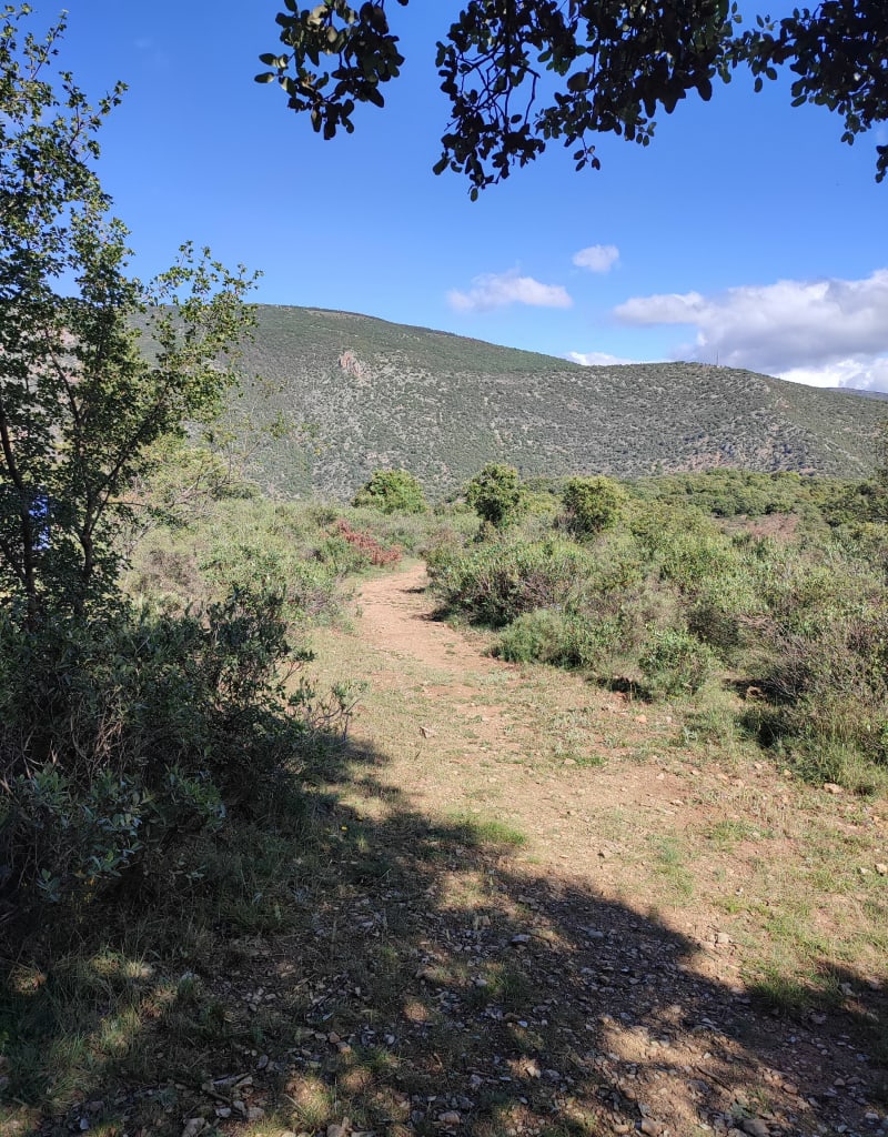 Rando entre Fillols et Villefranche - Villefranche-de-Conflent