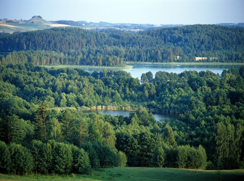 Suwalski Park Krajobrazowy – Trasy przy jeziorach Kluczysko i Jegłówek - Czajewszczyzna