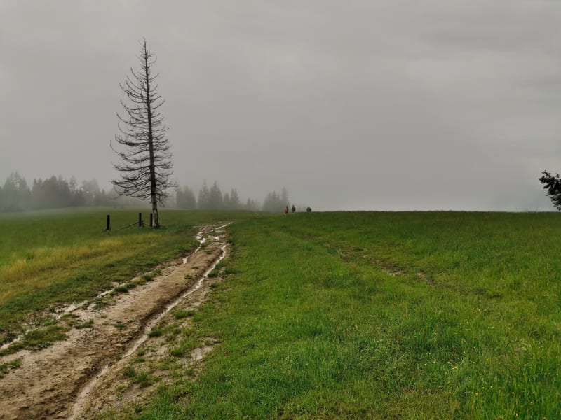 Jaworki – pierwszy punkt na trasie na szczyt Wysoka Góra - Jaworki