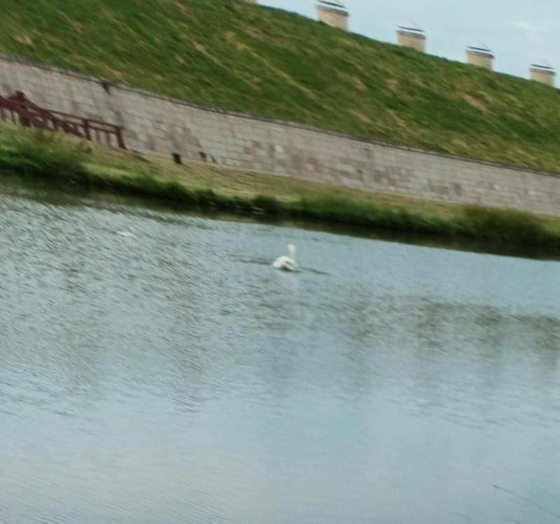 Balade sur les remparts de Toul - Toul