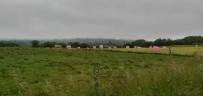 Boucle au départ de Loubeyrat - Loubeyrat