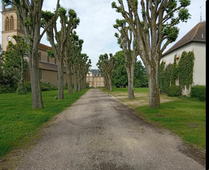 Entre Pange et Baudrecourt - Verny