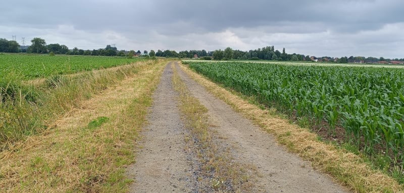 Petit parcours facile en famille à Flines-lez-Raches - Flines-lez-Raches