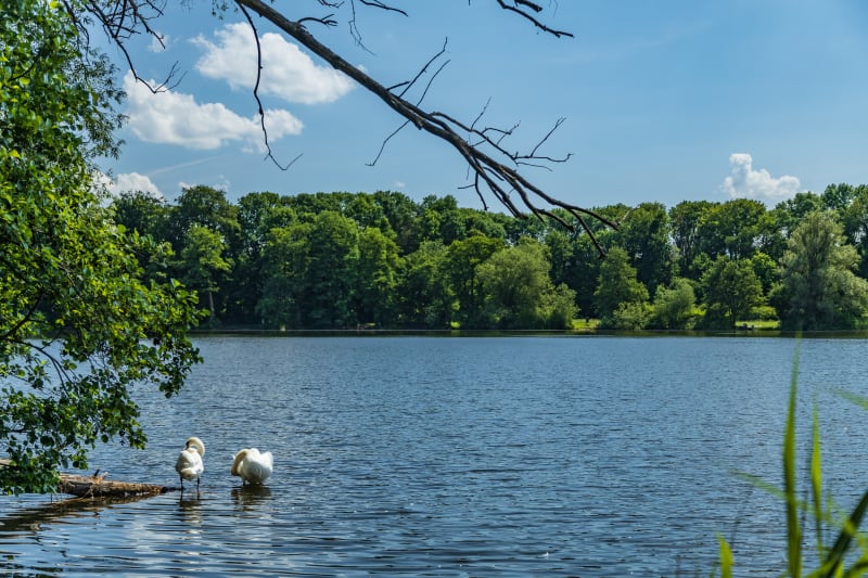 Jezioro Jasień – idealne miejsce do kontaktu z naturą - Jasień