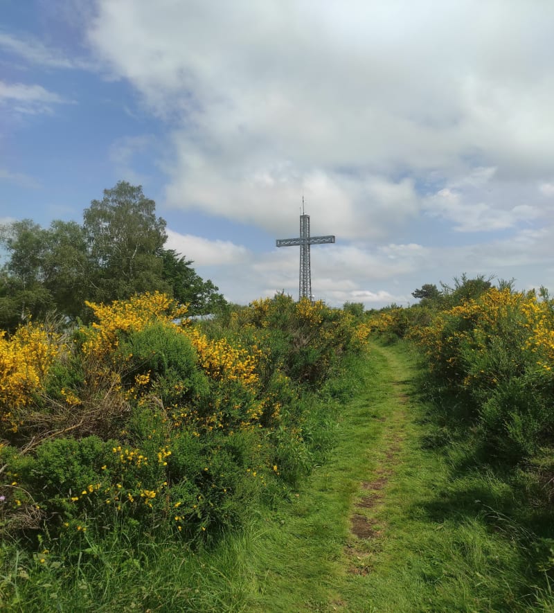 Chemin et sous bois autour de la Croix de Ternant - Orcines