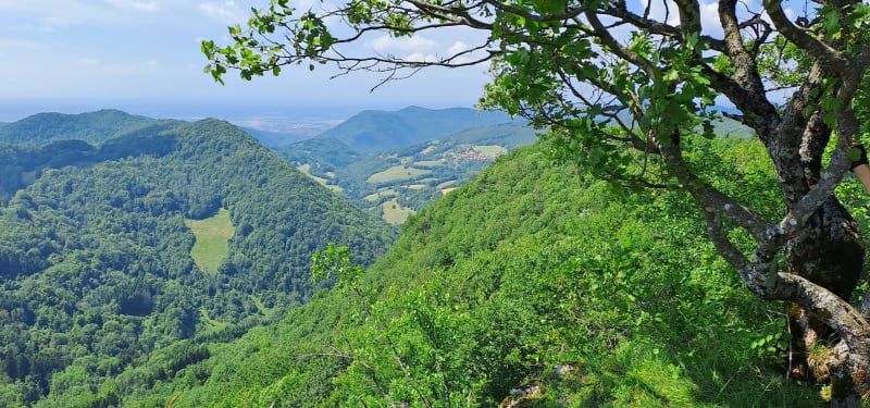 Rando VTT vers Cleyzieu - Vaux-en-Bugey