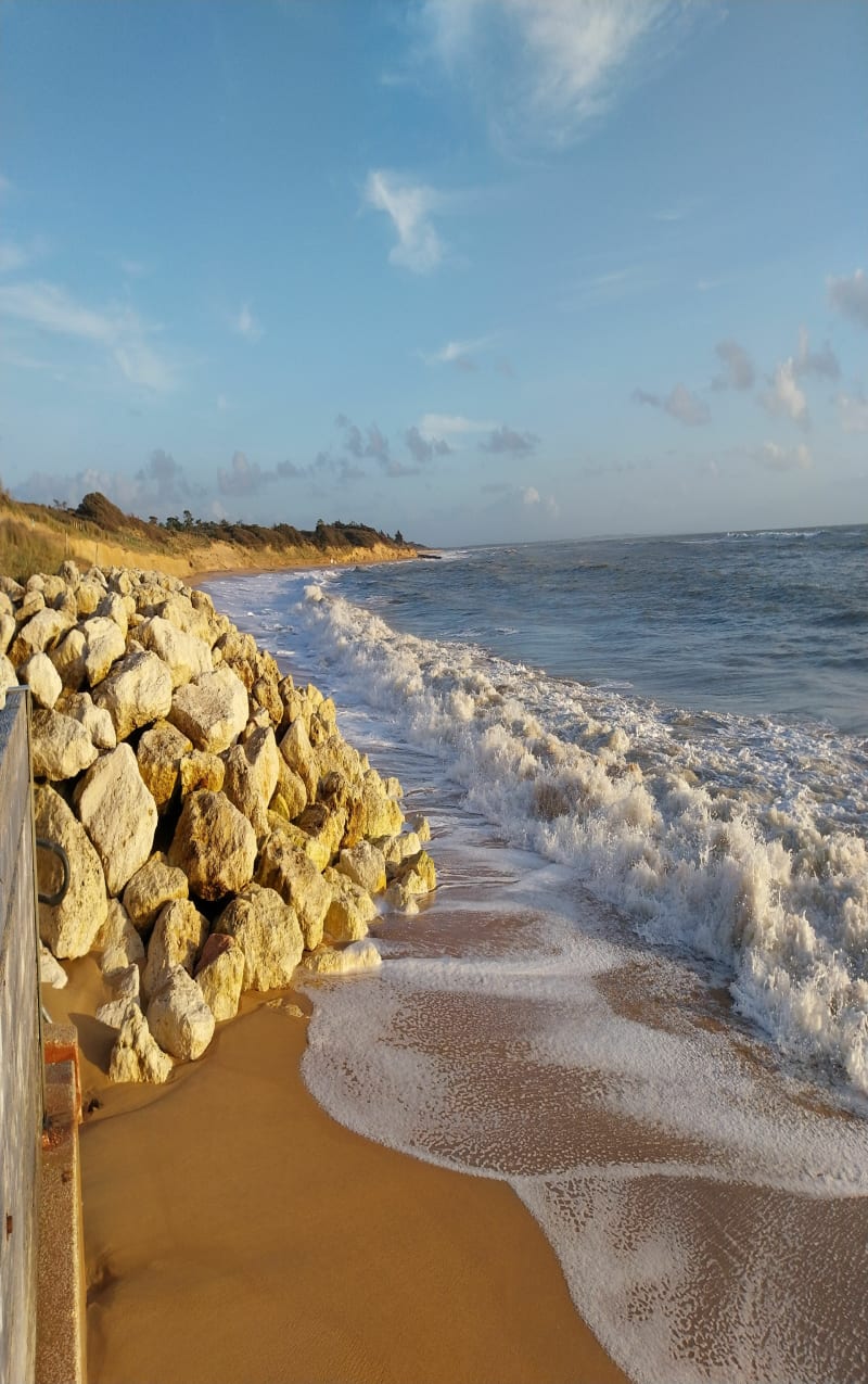Saint Pierre d'Oléron entre océan et marais - Dolus-d'Oléron