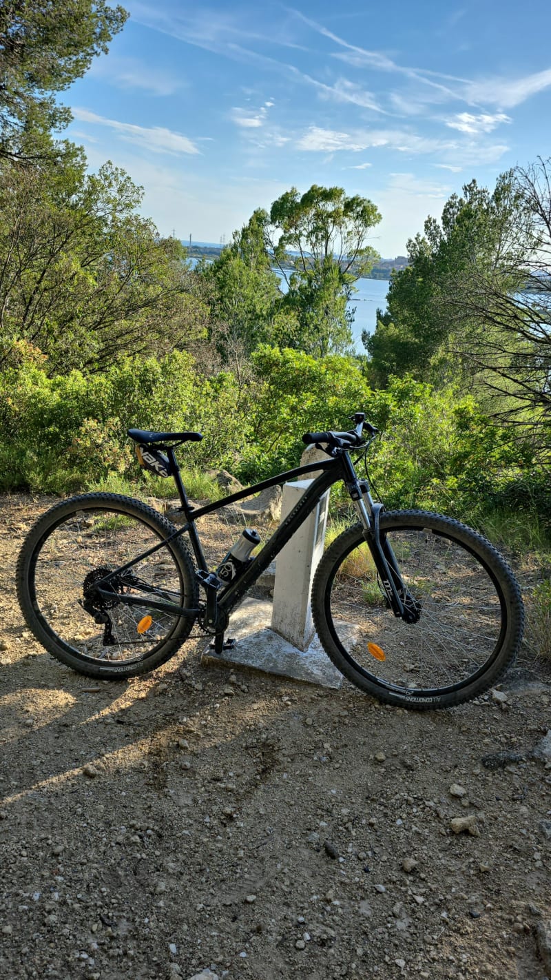 Mi route mi pinède autour de l'Etang de Saint-Blaise - Istres