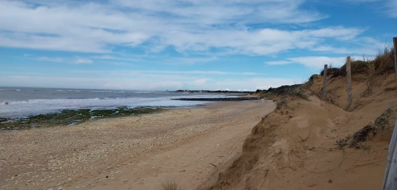 Balade vers des plages de l'océan puis marais et forêt de Dolus-d'Oléron - Dolus-d'Oléron