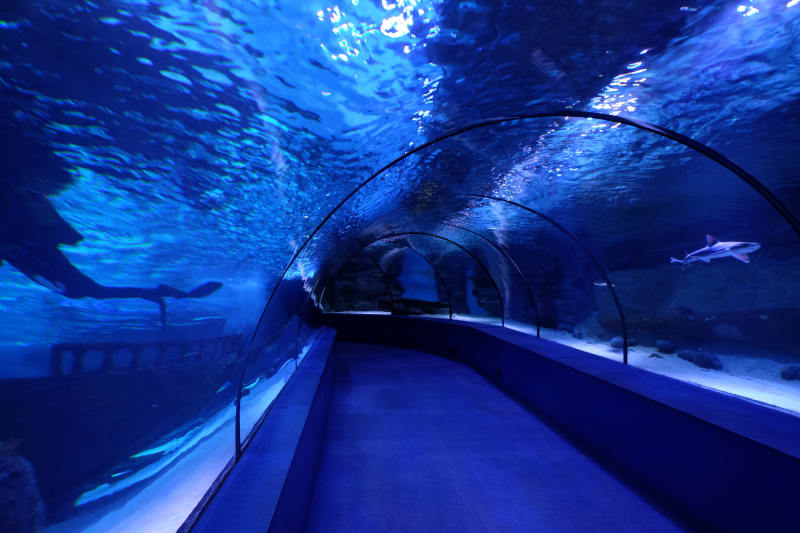 Oceanarium wrocław - Wrocław