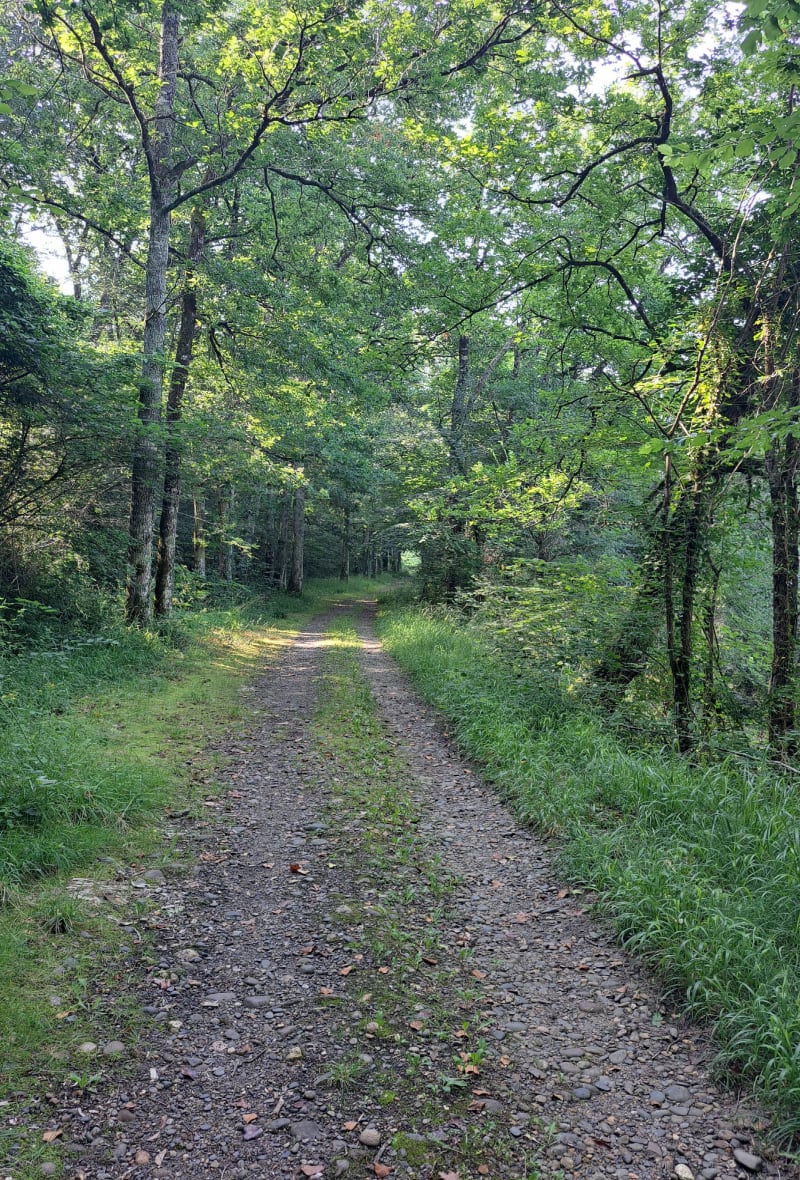 Camping des sources et circuit de la vallée du Bahus - Eugénie-les-Bains