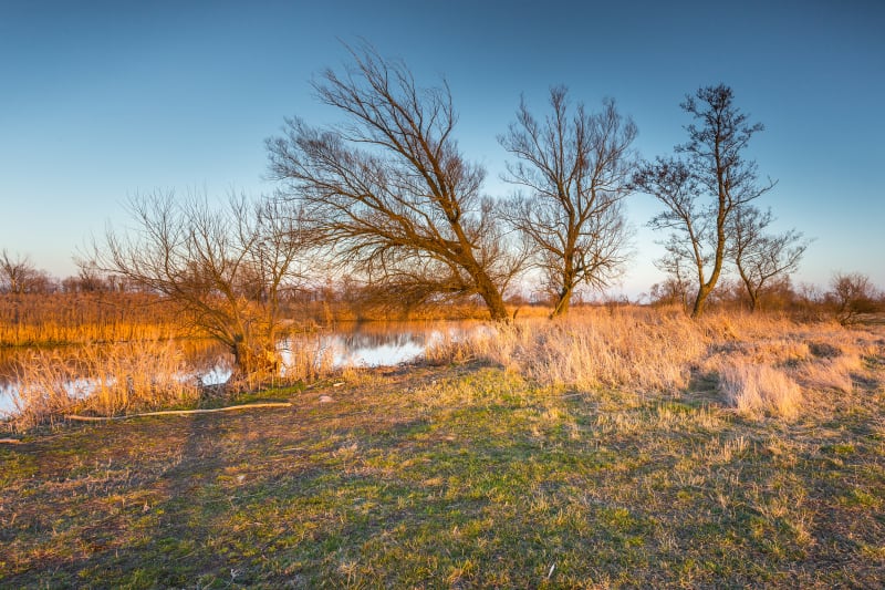 Nadwarciański Park Krajobrazowy - relaks na łonie natury - Ląd