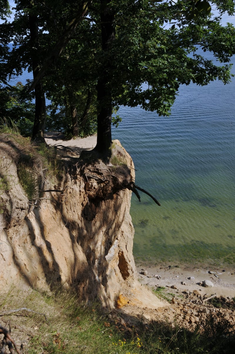 Klif Orłowski – niezapomniane widoki - Gdynia