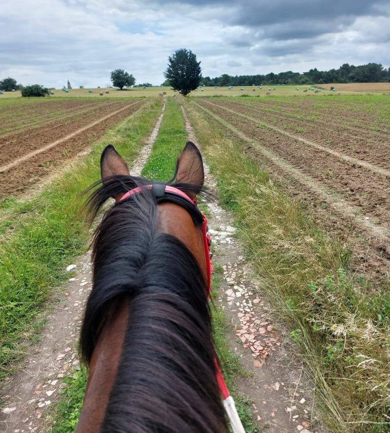 A cheval entre Saint-Géry et Beaupouyet - Saint-Géry