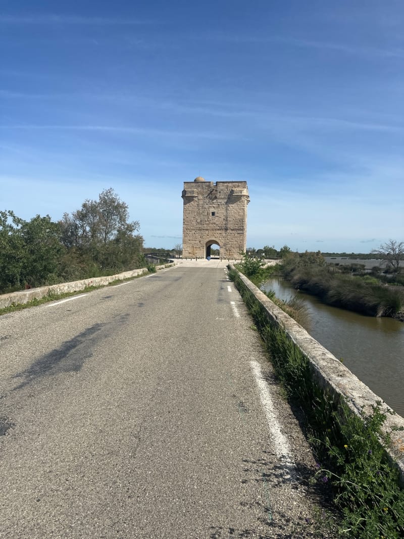 Un tour en Camargue - Vauvert
