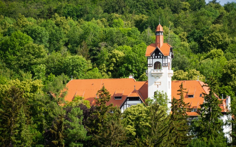 Wielka Sowa z Rościszów - spotkanie z przyrodą i historią - Pieszyce