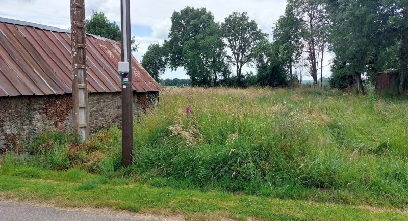 Balade à Cousmes - Lespas - Brécé