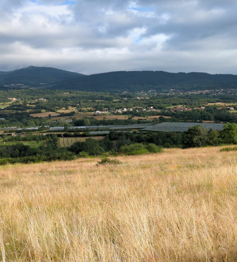 Balade au calme à Choron - Saint-Appolinard