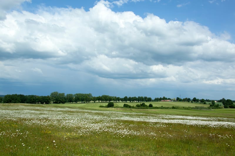 Trasa Grunwald – ruiny zamku i wędrówka przez  Warmię i Mazury - Stębark