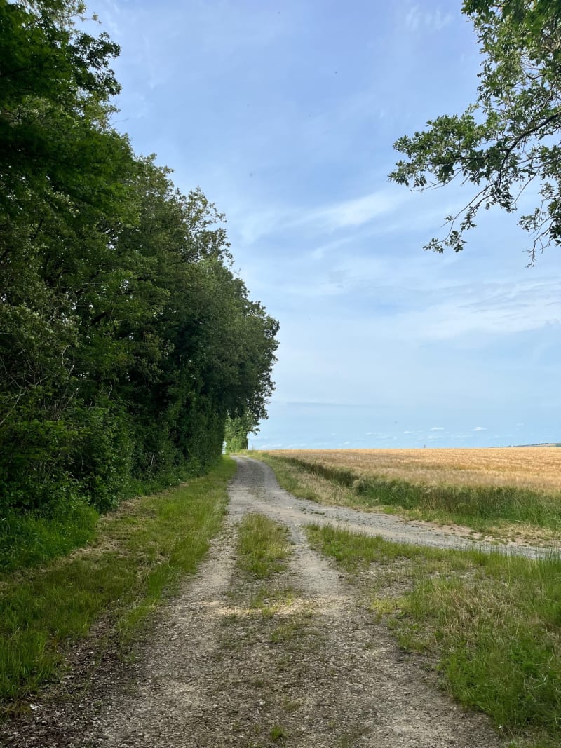 P’tit détour entre champs et bois prés de Bignay - Mazeray