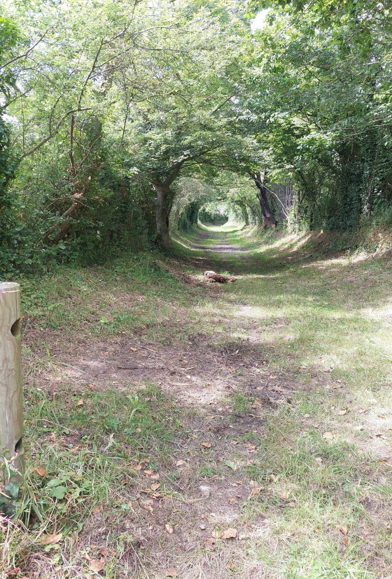 Balade en campagne à Molay-Littry - Le Molay-Littry