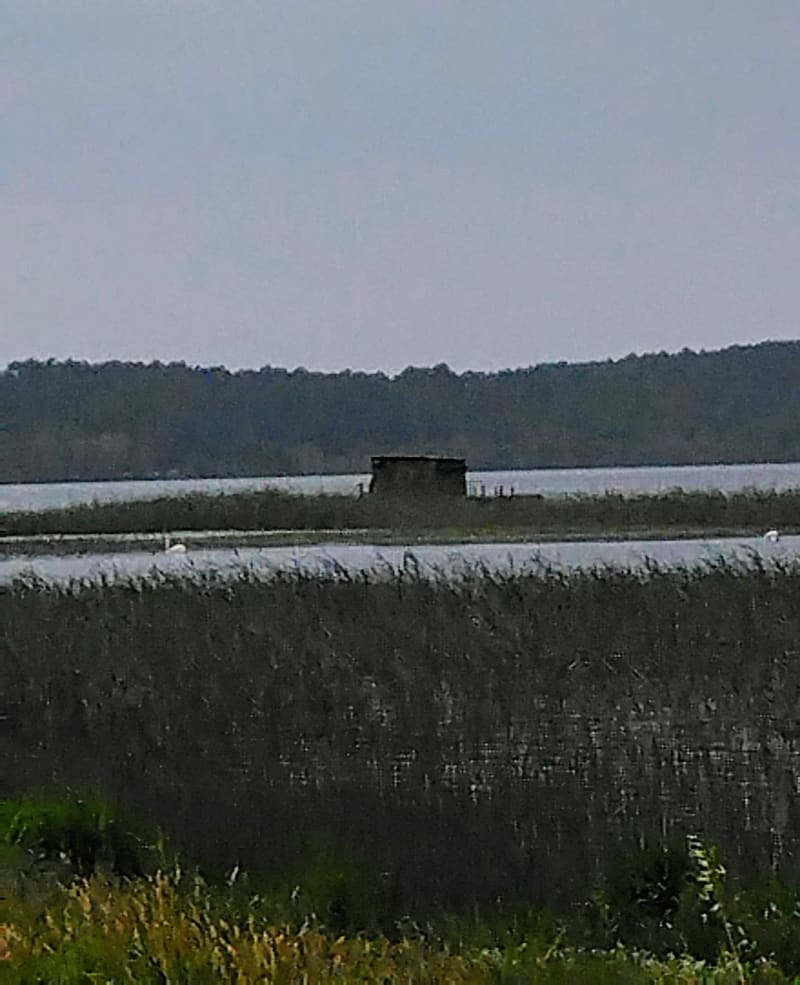 Tour d'Aureilhan et bord du lac - Aureilhan