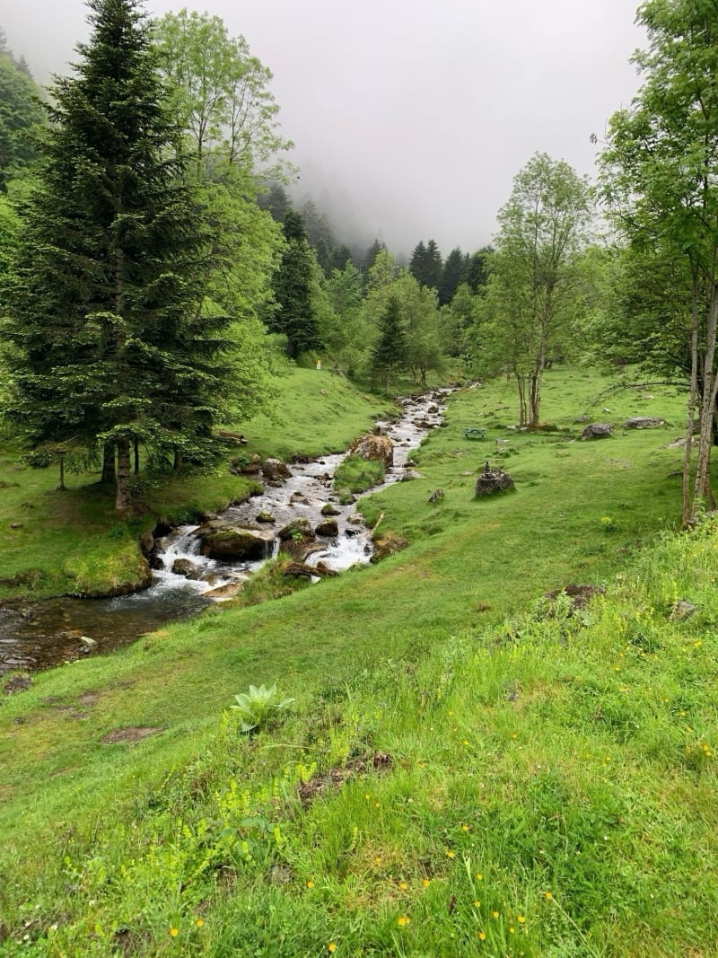 Chemin de Ramy sur les hauteurs - Campan