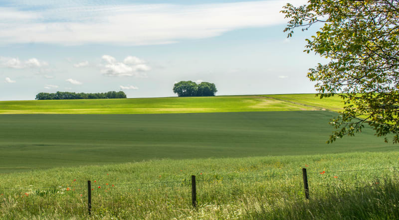 Petit tour de campagne depuis Bousignies - Bousignies