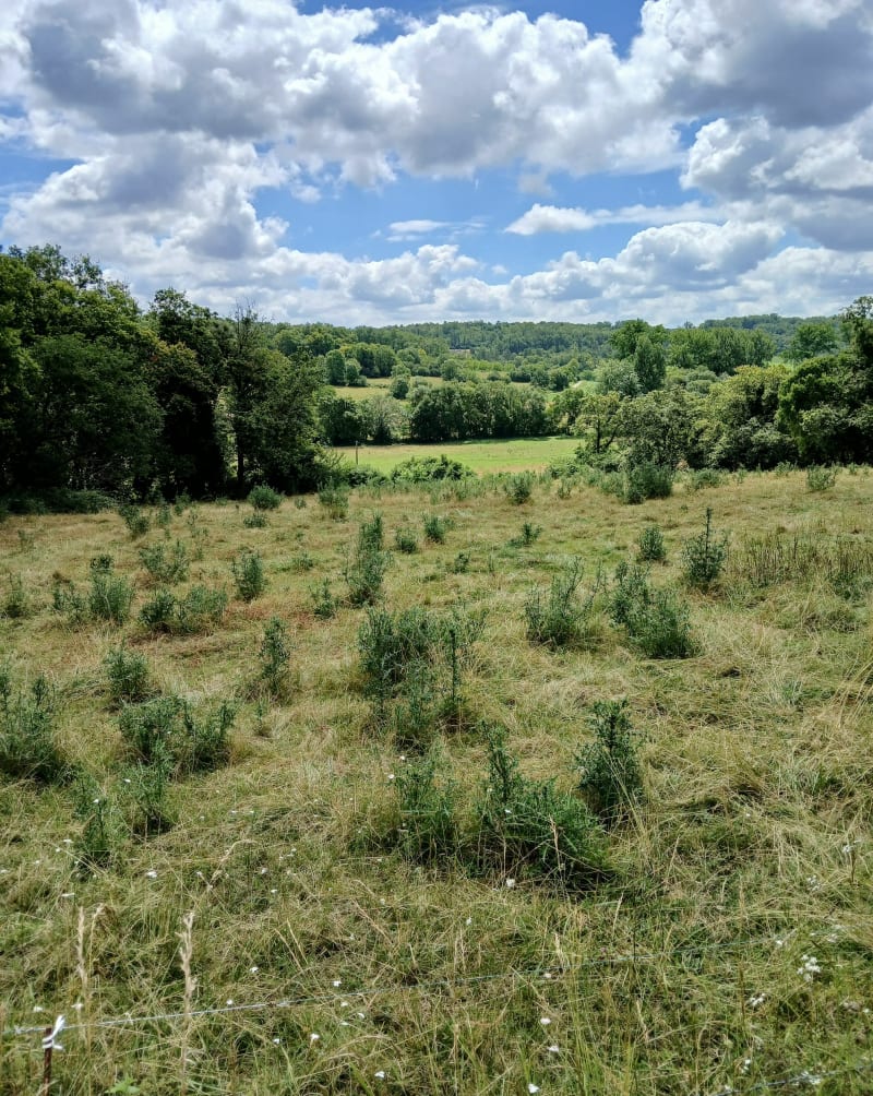 Boucle de la Verrerie - Paussac-et-Saint-Vivien