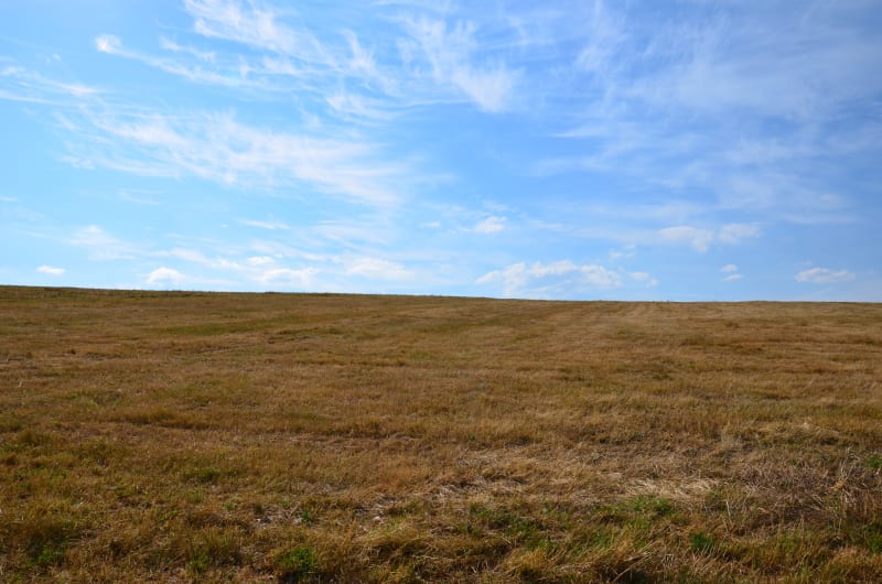 Rymanów – malowniczy spacer wokół Kalwarii - Rymanów