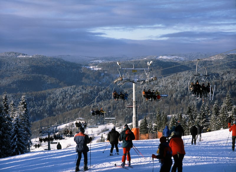 Stacja narciarska Wierchomla Ski – miejsce na pieszą wędrówkę - Wierchomla Mała