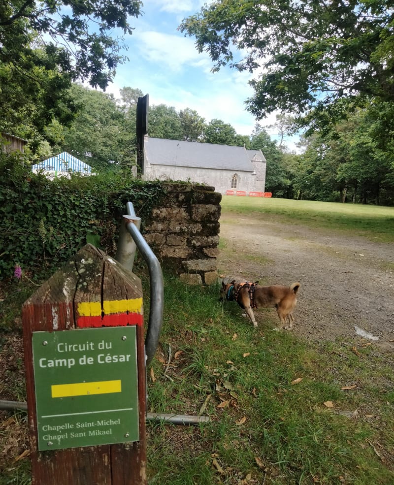 Découverte du camp César à Meucon - Saint-Avé