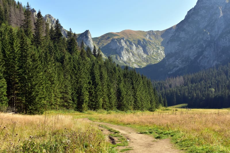 Przełęcz Kondracka – spokojna trasa w Tatrach z widokiem na Giewont - Kościelisko