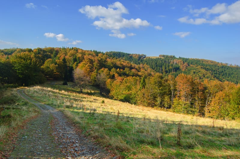 Przełęcz Chwalisławska i Kłodzka – poznaj Sudety Środkowe i Góry Złote - Podzamek