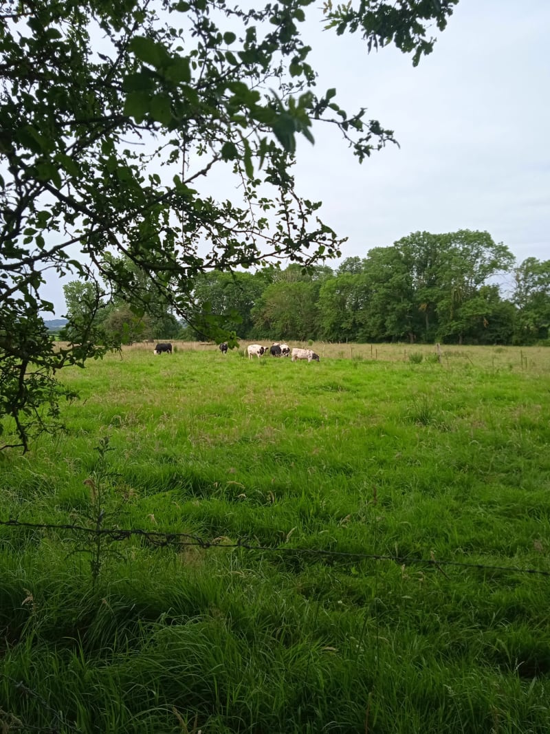 Au démarrage de Drouvin le Marais - Drouvin-le-Marais