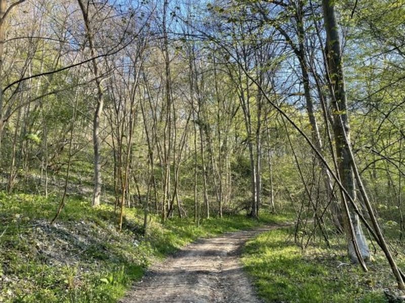 Boucle Roncherolle-Bihorel-Darnetal - Roncherolles-sur-le-Vivier