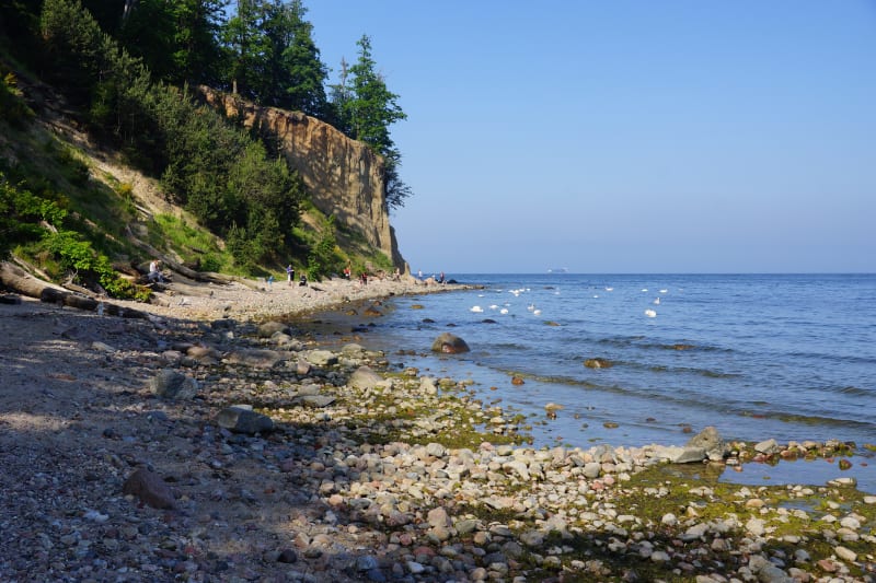 Klif Gdynia – stamtąd wyrusz na krótki spacer po Gdyni - Gdynia