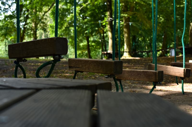 Krakowski Park Linowy: Aktywny wypoczynek wśród przyrody - Kraków