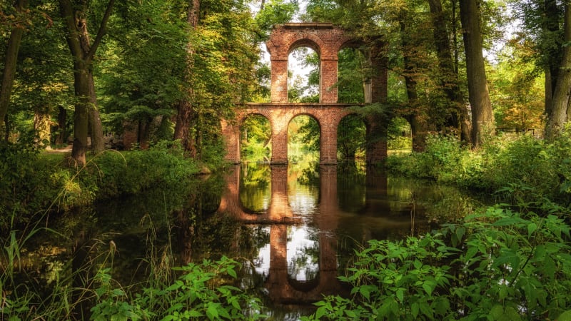Park Arkadia – idealne miejsce na spacer lub wycieczkę rowerową - Warszawa