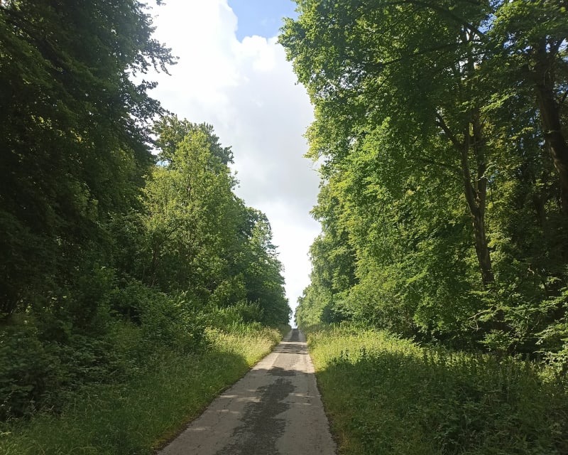 Balade autour de Nordausques - Nordausques