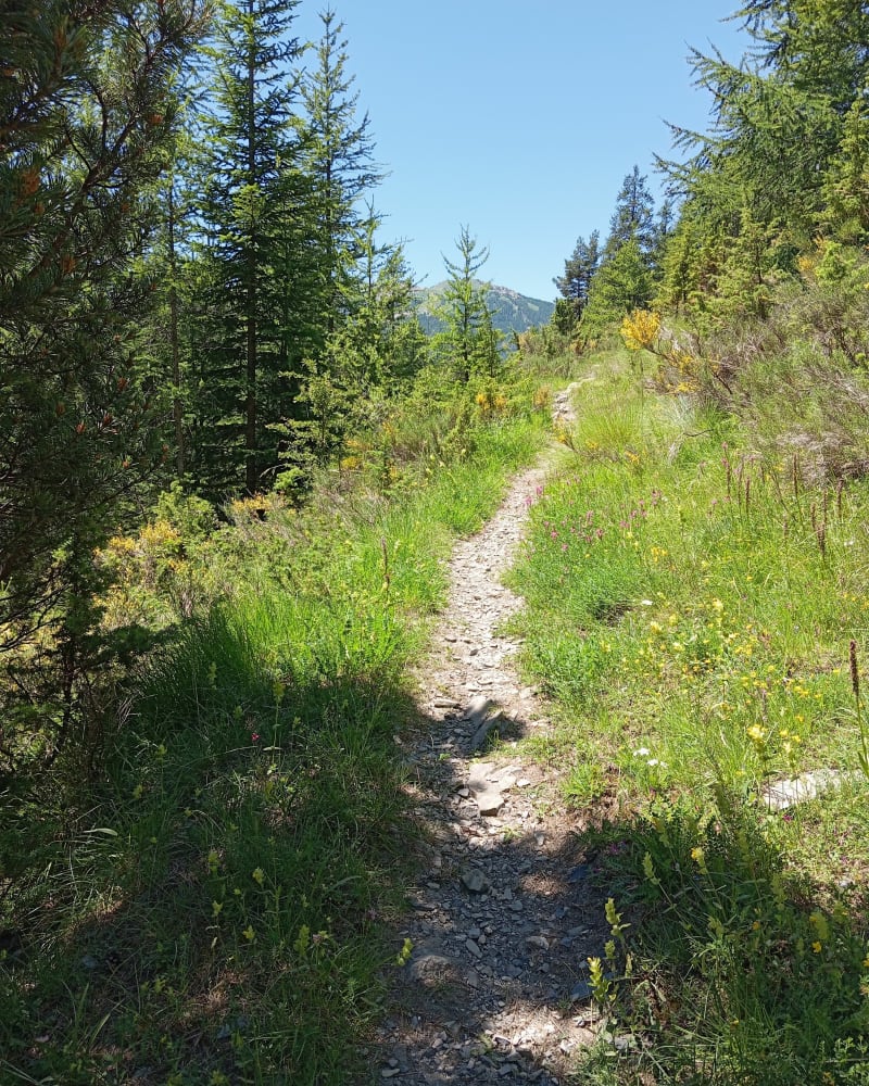 Variante du facteur à Allos - Allos