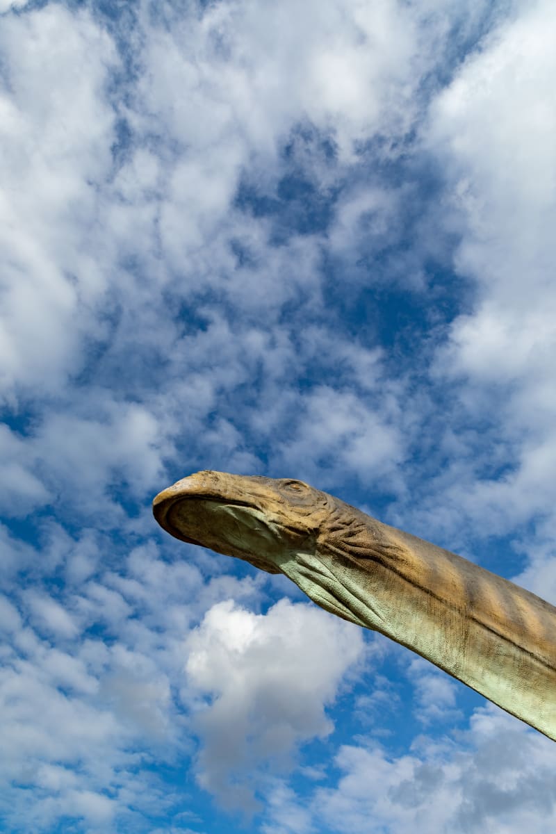 Jurapark w Bałtowie: Odkryj świat dinozaurów i pięknej przyrody - Bałtów