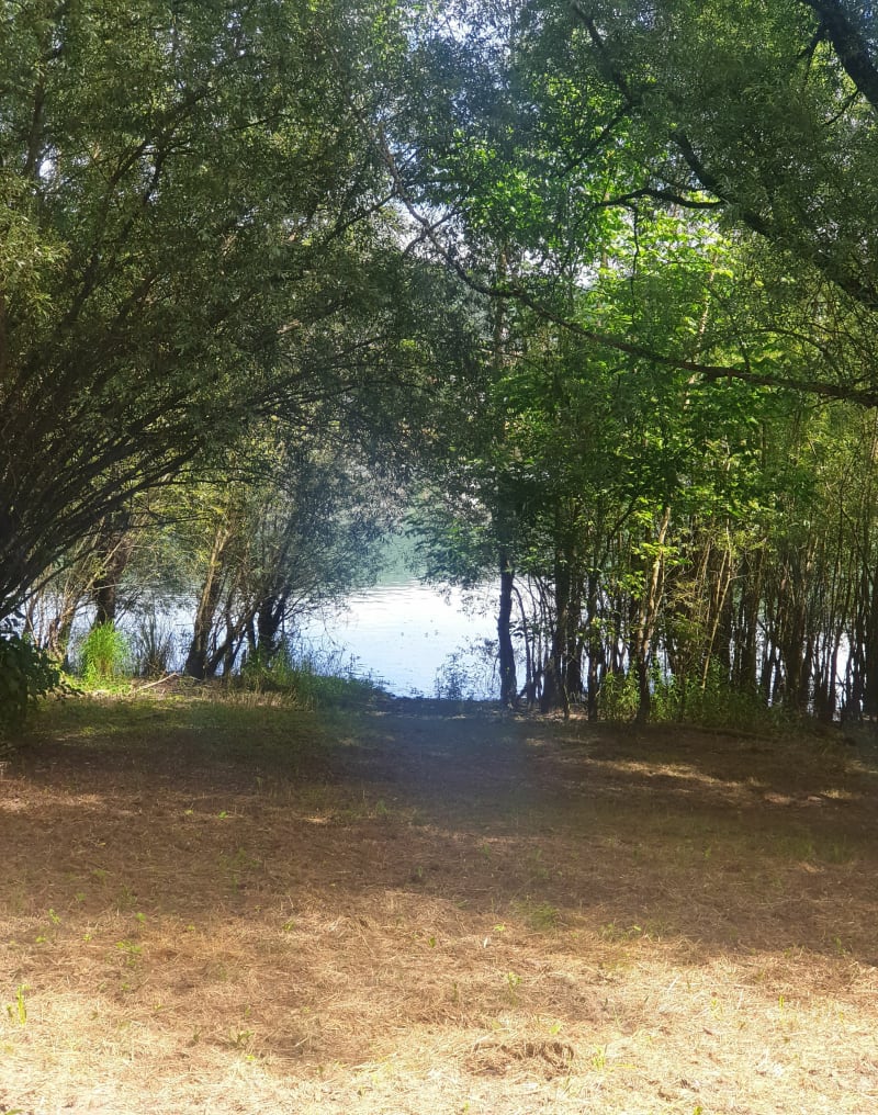 Barrage de Charmine, retour par Charmine puis Montafelon - Matafelon-Granges