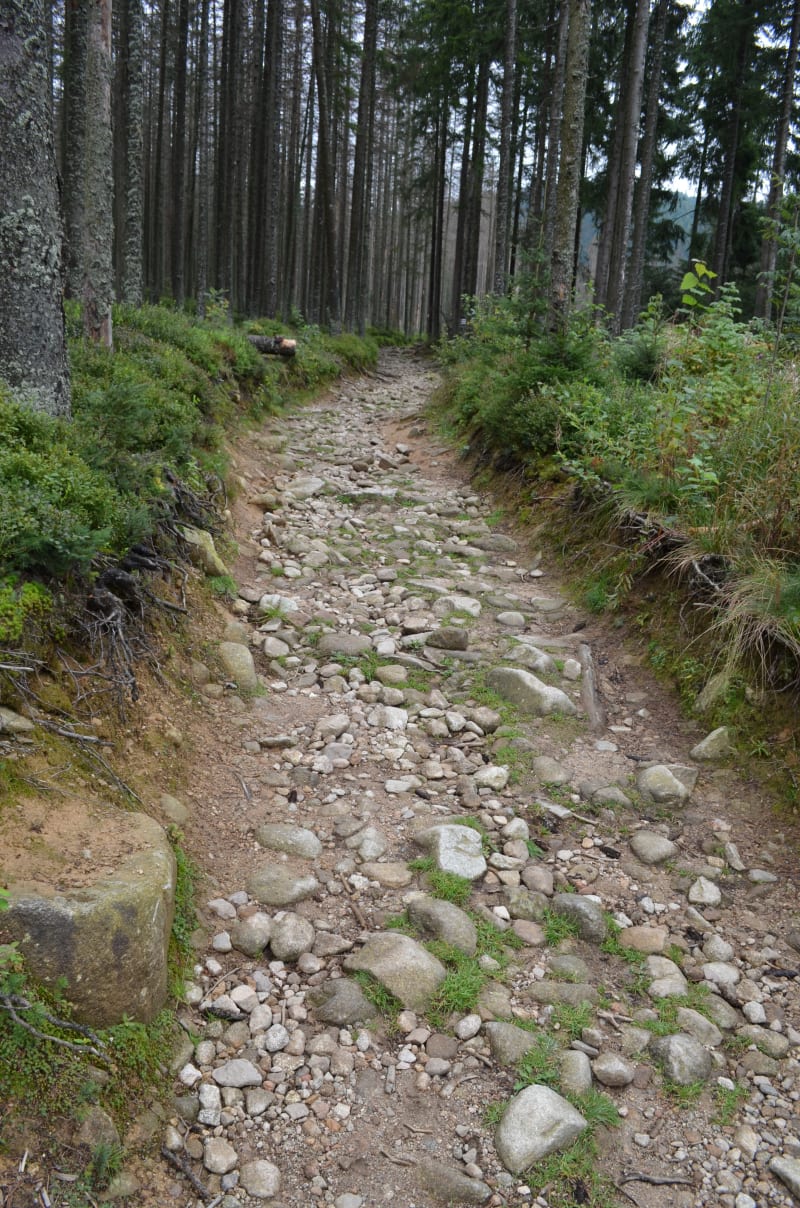 Góry w Zakopanem – odkrywaj polskie Tatry - Zakopane