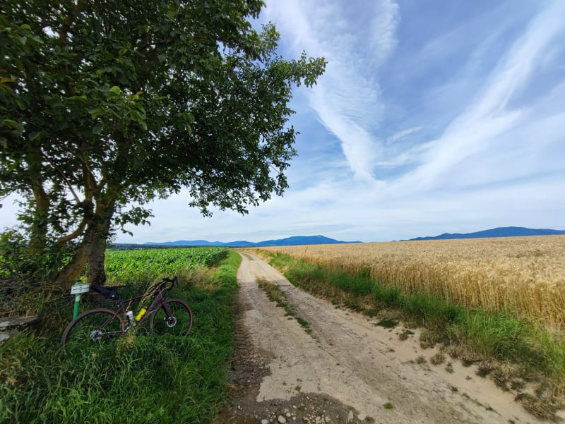 De Cernay à Richwiller-Lutterbach par les chemins et piste cyclable - Cernay