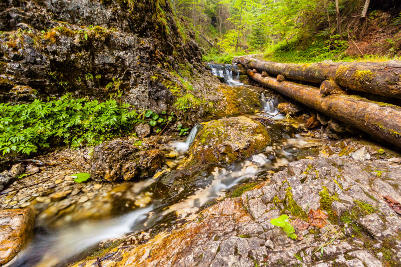 Tatrzański Park Narodowy z dziećmi. Poznaj malowniczą Dolinę za Bramką - Zakopane