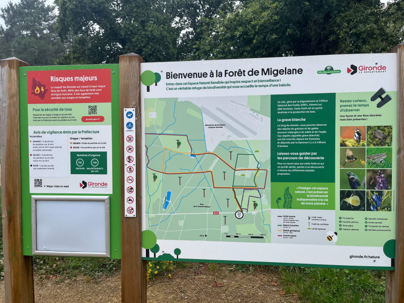 Forêt de Migelane - Martillac