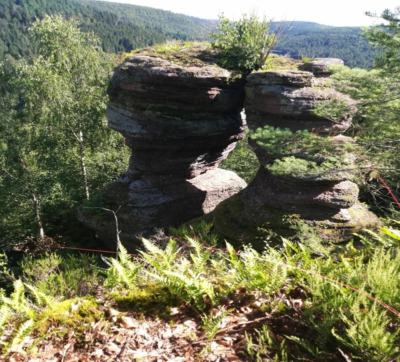 Randonnée départ Harreberg - Harreberg