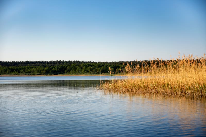 Jezioro Wikaryjskie – spokojny spacer wśród przyrod - Włocławek
